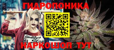 бошки Кандалакша