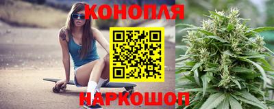 ALPHA PVP Камышлов