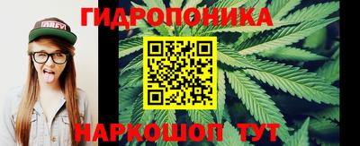 ALPHA PVP Камышлов