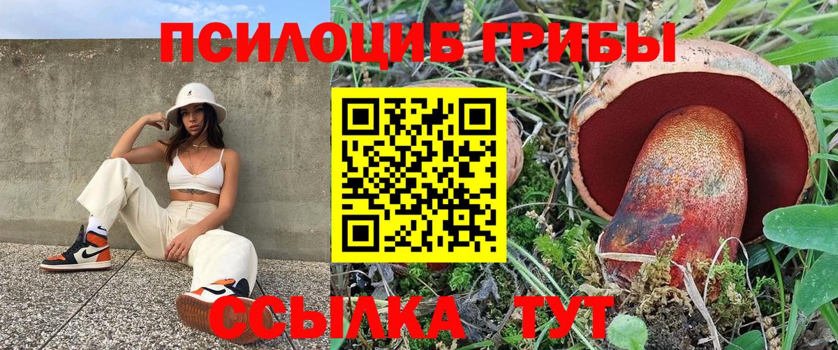 Курганинск  Псилоцибиновые грибы MAGIC MUSHROOMS  Вход с VPN 