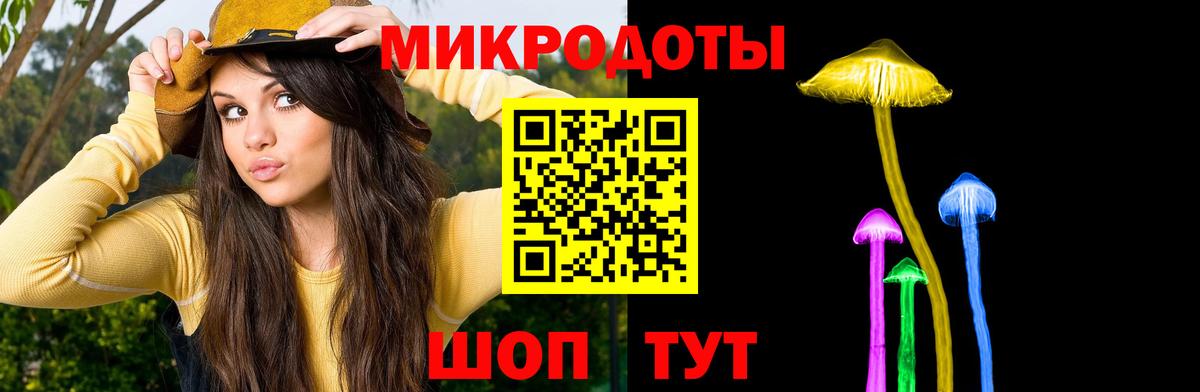Псилоцибиновые грибы Psilocybe Курганинск